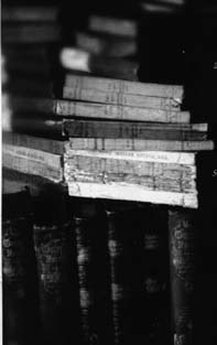 Die Bücher der Bibliothek